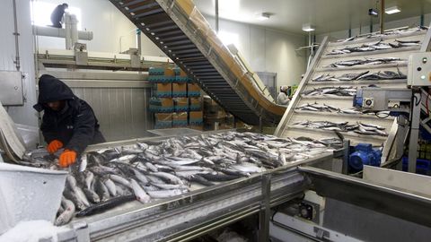 Pescados Rub�n, de Foz, en A Mari�a, en una imagen de archivo