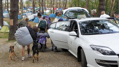 Unos llegan al pinar andando, todo el trayecto o tras un primer tramo en bus, y otros en taxi