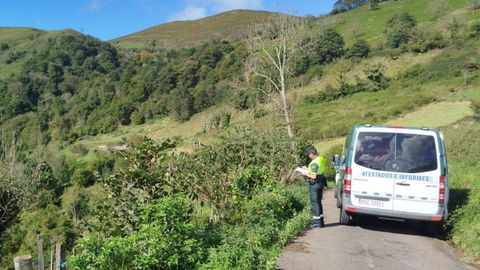 Lugar del accidente en el que muri� un anciano en Belmonte de Miranda