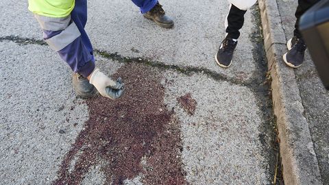 Un reportero toma im�genes de una mancha de sangre este lunes en El Casar de Escalona