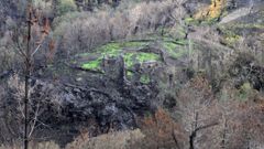 Un yacimiento arqueolgico desbrozado por los incendios forestales del verano