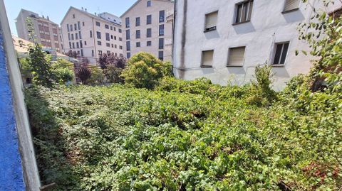 La maleza se extiende sin control desde la verja pegada a la calle hasta el fondo de la finca