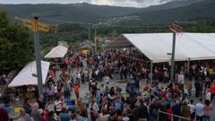 Fiesta mexicana en Avi�n