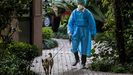 Un hombre pasea a su perro en una zona residencial de Shangh�i.