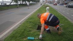 Un operario instala cables subterr�neos para los sem�foros que se colocar�n en el nuevo carril del Muro de San Lorenzo