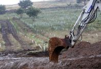 Los trabajos se centran actualmente en la construcci�n de la trama de sendas peatonales. 