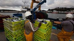 El Bautista Pino descarg� este martes en Celeiro xarda, el pescado de temporada