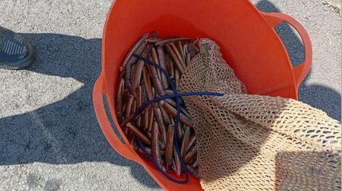 Navajas de tama�o inferior al permitido incautadas en Os Praceres