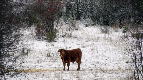 Nieve en la cercana provincia de Le�n.