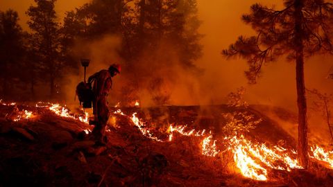 Un agente antiincendios lucha por contener la propagaci�n del fuego en Greenville