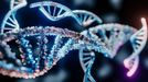 Recreaci�n de una cadena de ADN