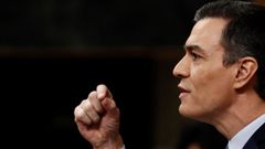 Pedro S�nchez acumula 253 d�as en funciones