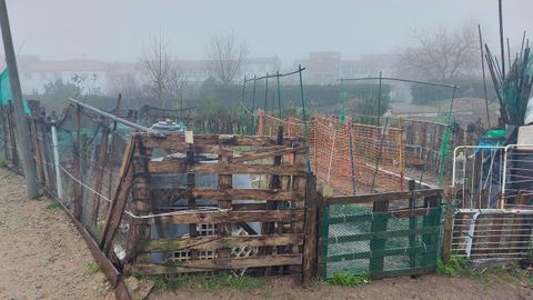 Huertas urbanas en Almáciga