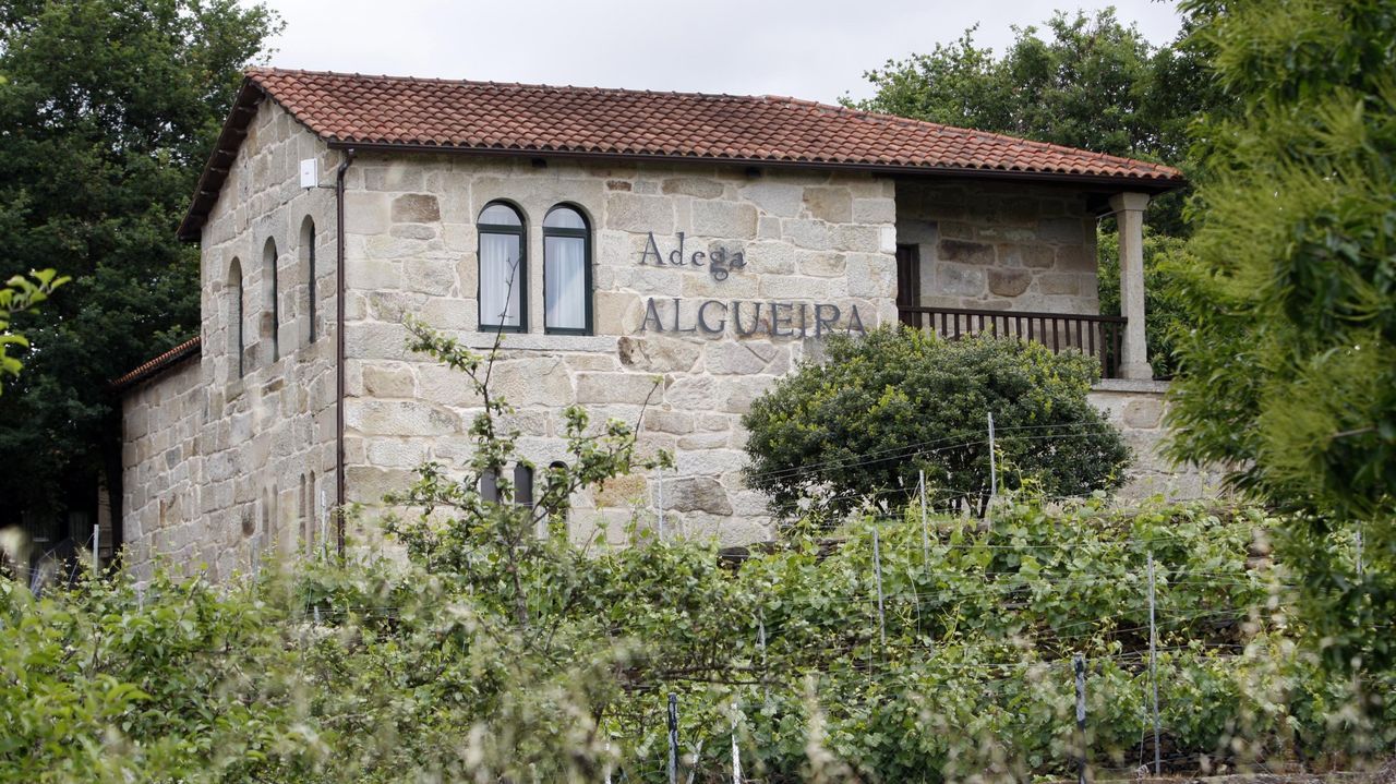 Una bodega de Sober, distinguida con un premio de TripAdvisor