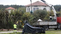 Algunos de los �rboles retirados por las obras, ayer llegando al vivero municipal, que ser� su ubicaci�n provisional hasta que el Concello de Ourense dedica una localizaci�n definitiva para ellos.