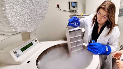 Lourdes Liste, t�cnica de laboratorio, ense�a colecciones que se encuentran en el tanque de nitr�geno l�quido