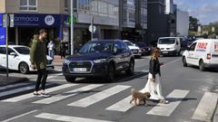 Paso de cebra a la altura del n�mero 12 de la avenida Vi�as de Babilonia, en el centro de Santa Cruz