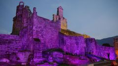 Se podr� participar en la visita teatralizada al castillo de Ribadavia