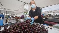 Paiosaco dio lustre a las cerezas