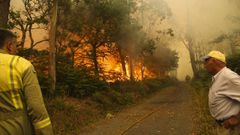Un incendio en Cabana devora 17 hect�reas en cinco horas