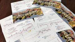 Ejemplares de la gu�a del Camino de Invierno editada por un grupo de empresas del sector tur�stico