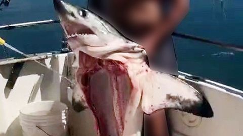 V�deo difundido en redes sociales