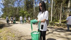 Parte de las tareas de limpieza