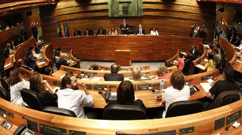 El pleno de la Junta General del Principado en su constitucin.