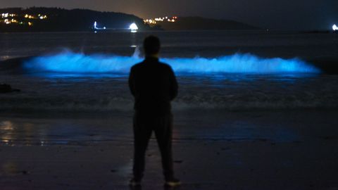 mar.Ignacio R�os, pareja de la fot�grafa aficionada Judith Sislian, que logr� captar este incre�ble momento: el mar de ardora