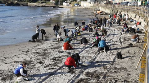 Miles de personas se echaron a las playas gallegas a finales del 2023 y a principios del 2024 para recoger los diminutos pélets de plástico