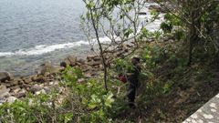 Imagen de archivo de desbroce en el �rea metropolitana de Vigo