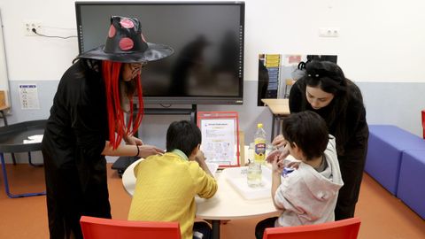 Alba y Sol, profesoras de Pedagox�a Terap�utica y Audici�n e Linguaxe, guiaban este viernes a los alumnos del aula senda del colegio de Roxos, en Santiago, para que generasen una reacci�n qu�mica con una especie de p�cima m�gica. En esta modalidad de clase, los recursos est�n adaptados a los alumnos con necesidades.