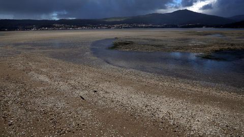 Imagen tomada en febrero, con la playa de Testal sembrada de marisco muerto