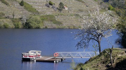 Aspecto actual del embarcadero de Pincelo, en la ribera de Chantada