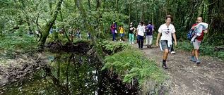 La declaraci�n de ENIL del r�o Gafos comprende el tramo desde la calle Otero Pedrayo al l�mite con el concello de Vilaboa.