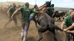 A rapa das bestas de Vilapedre celebrouse por primeira vez o ano pasado
