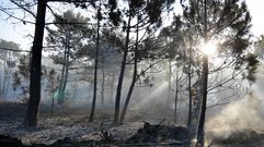 Incendio en Corrubedo