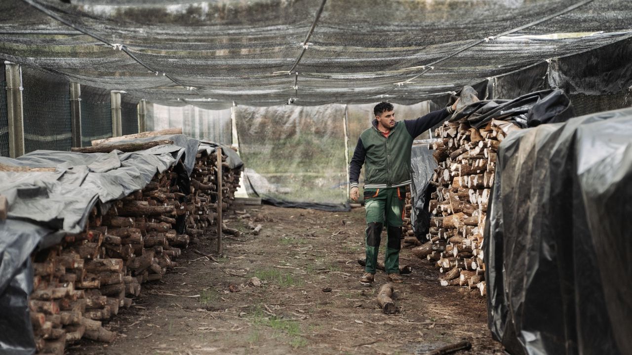 La producción ecológica pierde fuelle en Barbanza con menos de 30 empresas: «Hai mercados nos que é un distintivo moi interesante»