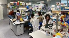 Imagen de archivo del Instituto de Investigacin Biomdica de A Corua (Inibic)