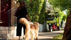 El servicio postal australiano, Australia Post, ha reforzado las medidas de protecci�n para sus carteros con aerosoles de citronela como �ltimo recurso frente a perros agresivos, despu�s de registrar un r�cord de ataques, con una media de nueve incidentes diarios y m�s de 1.200 episodios reportados en todo el pa�s durante los �ltimos seis meses