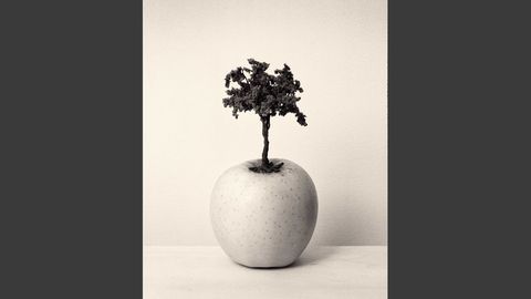 Fotograf�a cedida hoy por la Fundaci�n Mar�a Cristina Masaveu Peterson (FMCMP) a trav�s del Centro Cultural Espa�ol en Miami (CCEMiami) de una instant�nea de Chema Madoz, Sin t�tulo, que se presentar� en la exposici�n  Miradas de Asturias .