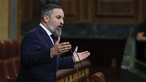 Abascal, este mircoles en el Congreso