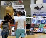 Dos j�venes ante la muestra ayer por la tarde. 