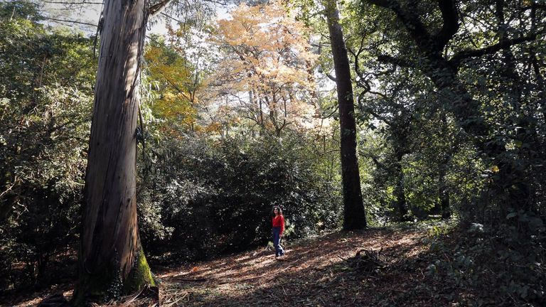 Los jardines del pazo son un aut�ntico para�so.