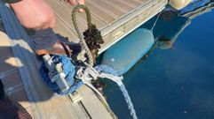 El mejill�n cr�a en las d�rsenas de puertos como Sanxenxo, en la foto