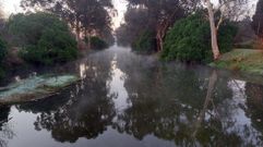 Las marismas de Alba, tras una madrugada de helada