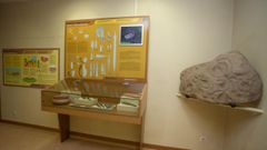 En las salas del museo vilalb�s hay piezas y se informa con paneles