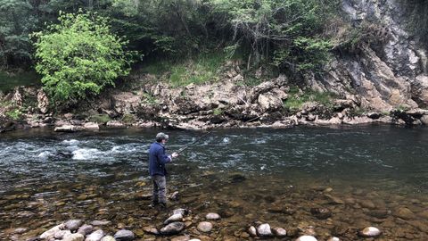Pescado en el r�o Pas el campanu de Cantabria, un salm�n de 7,2 kilos y 90 cent�metros