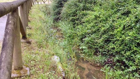 El r�o Gafo a su paso por Oviedo, con gran cantidad de maleza en las m�rgenes, seg�n denuncian los vecinos de Las Caldas