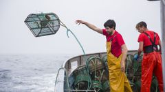 Marineros de Malpica lanzando al mar las nasas del pulpo, en una imagen de archivo
